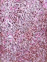 20260427_150951.webp