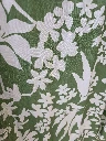 20261008_142856.webp