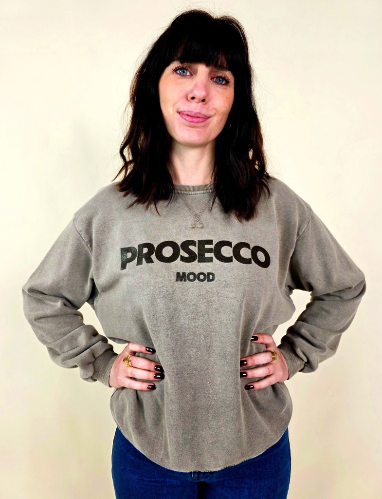 [00169] Sweat-shirt Oversize 'Prosecco Mood' taupe