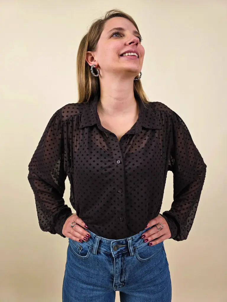 Chemisier transparent marron avec pois en relief